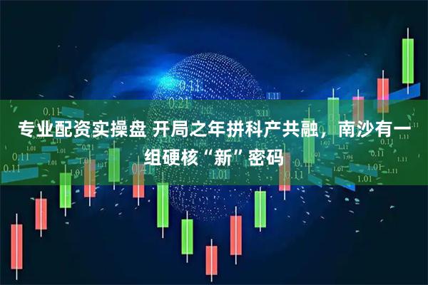 专业配资实操盘 开局之年拼科产共融，南沙有一组硬核“新”密码