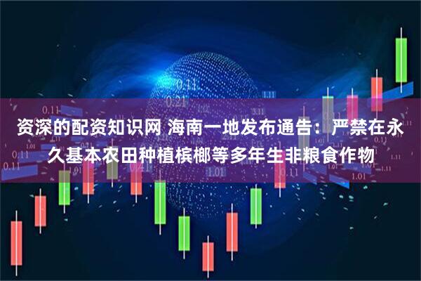 资深的配资知识网 海南一地发布通告：严禁在永久基本农田种植槟榔等多年生非粮食作物